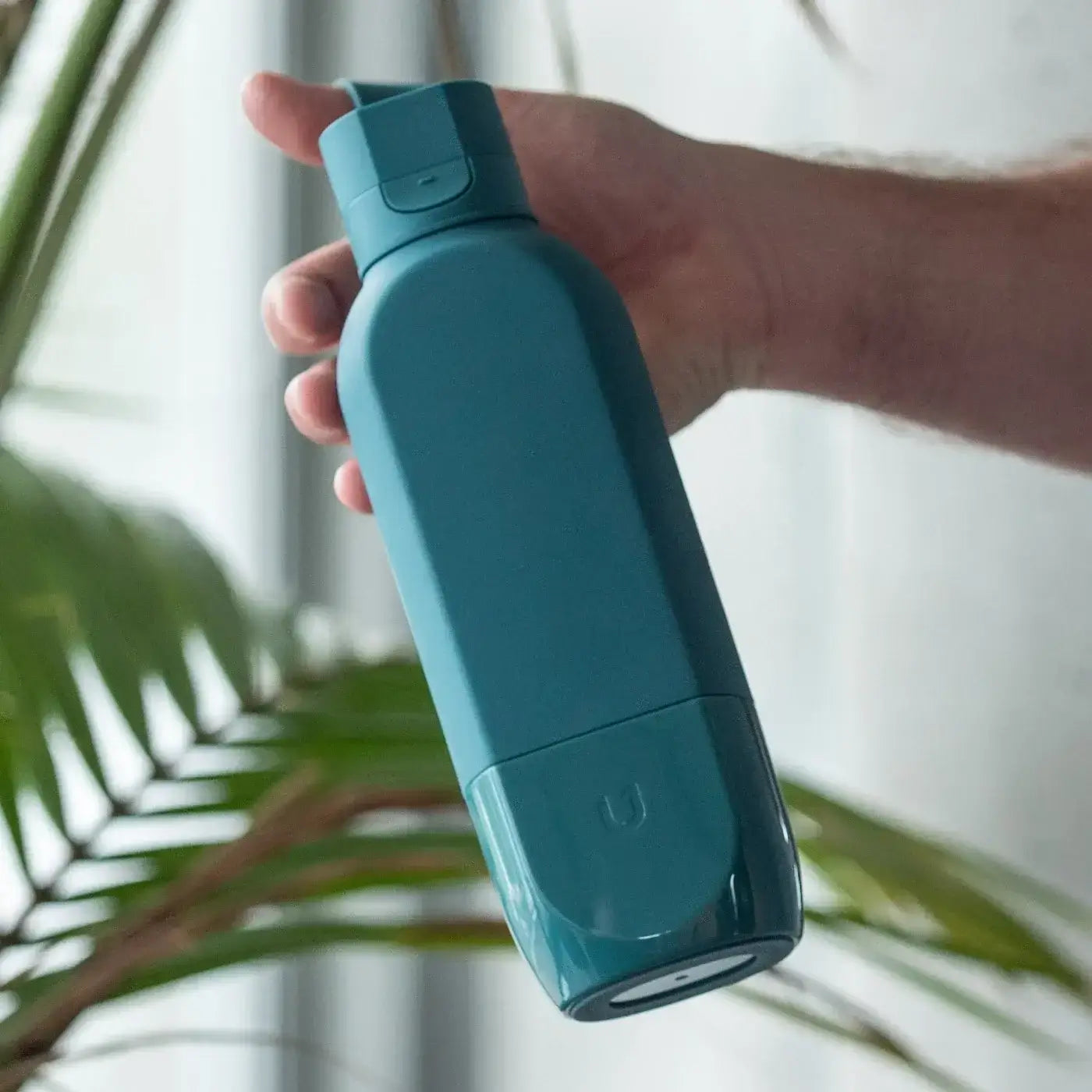 #color_Aqua Teal